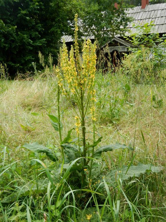 فيلا Chartowفي Agroturystyka U Ostrowskich المظهر الخارجي الصورة