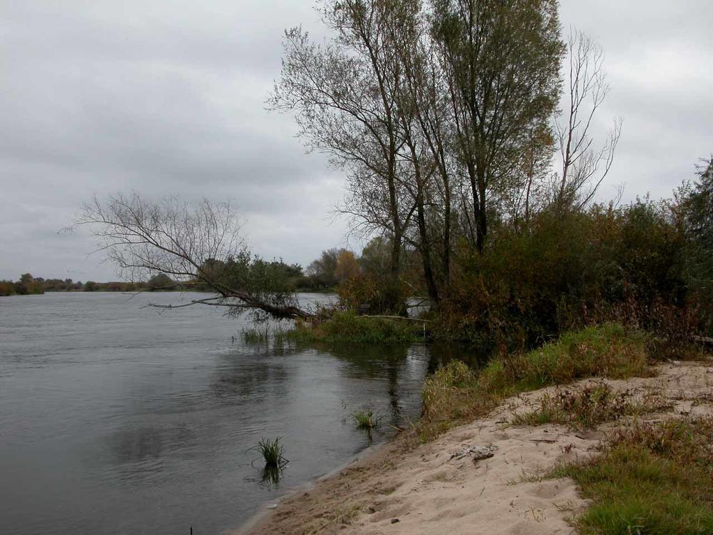 فيلا Chartowفي Agroturystyka U Ostrowskich المظهر الخارجي الصورة