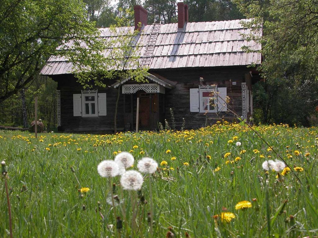 فيلا Chartowفي Agroturystyka U Ostrowskich المظهر الخارجي الصورة